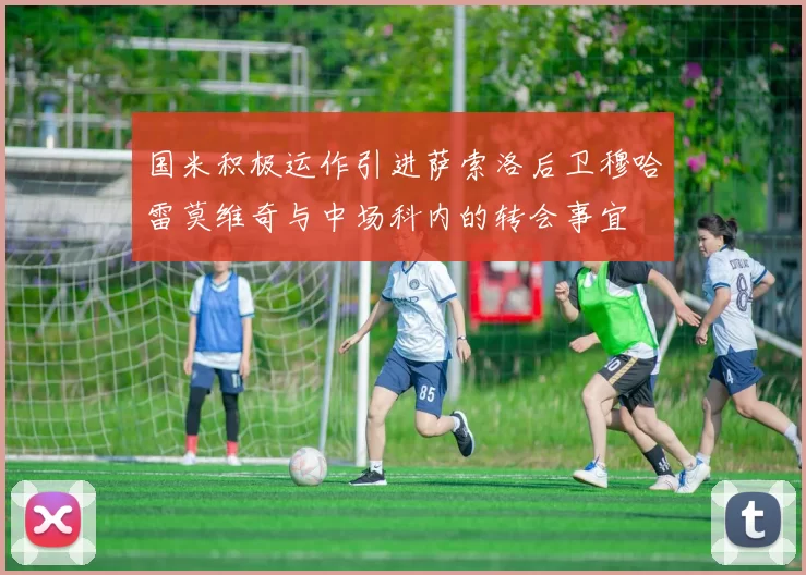 国米积极运作引进萨索洛后卫穆哈雷莫维奇与中场科内的转会事宜