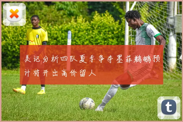 美记分析四队夏季争夺墨菲鹈鹕预计将开出高价留人